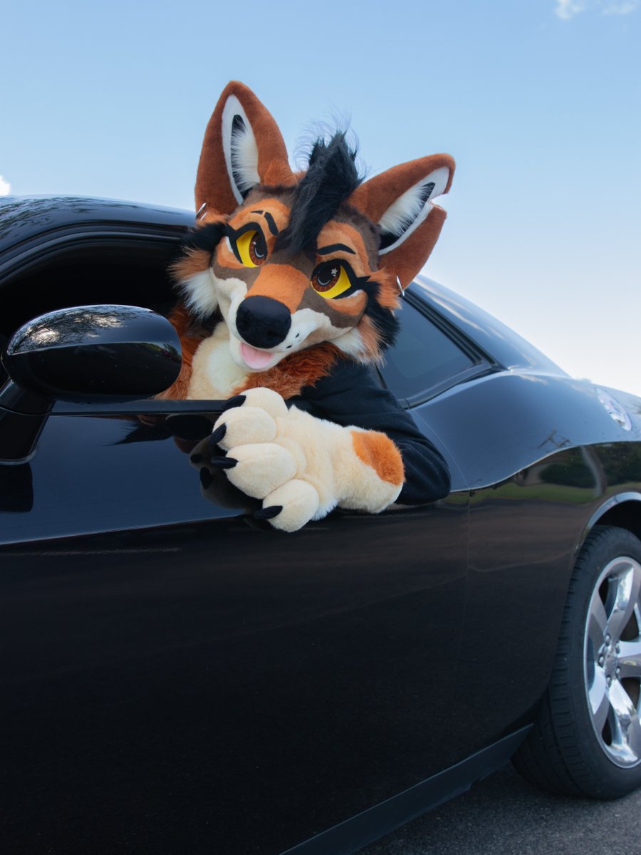 Need a ride?
-
The Desert Coyote premade is complete and ready to drive to Anthrocon! She will be for sale in the dealers den, so make sure to come check her out 🐾