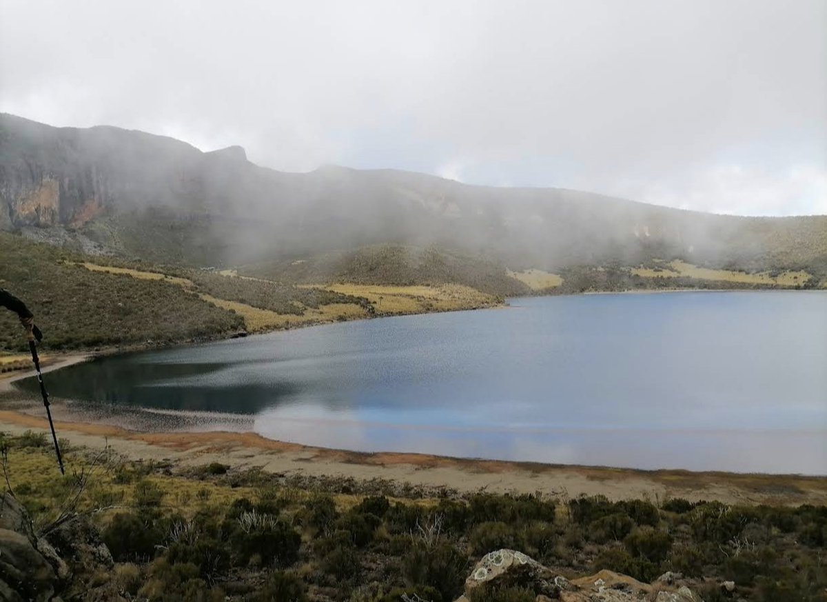 CrypticEve tweet media