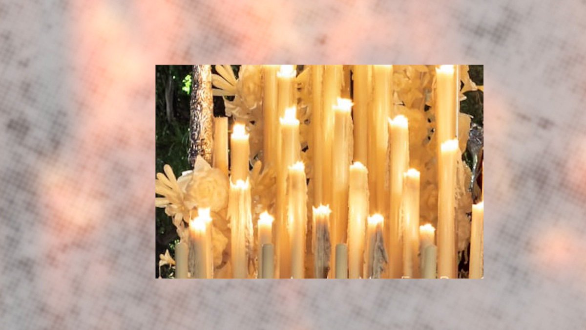 PTV Sevilla tweet media