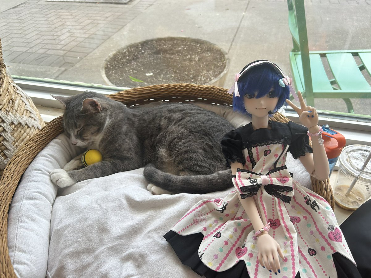 cookie10246's tweet image. #DDKAITO
