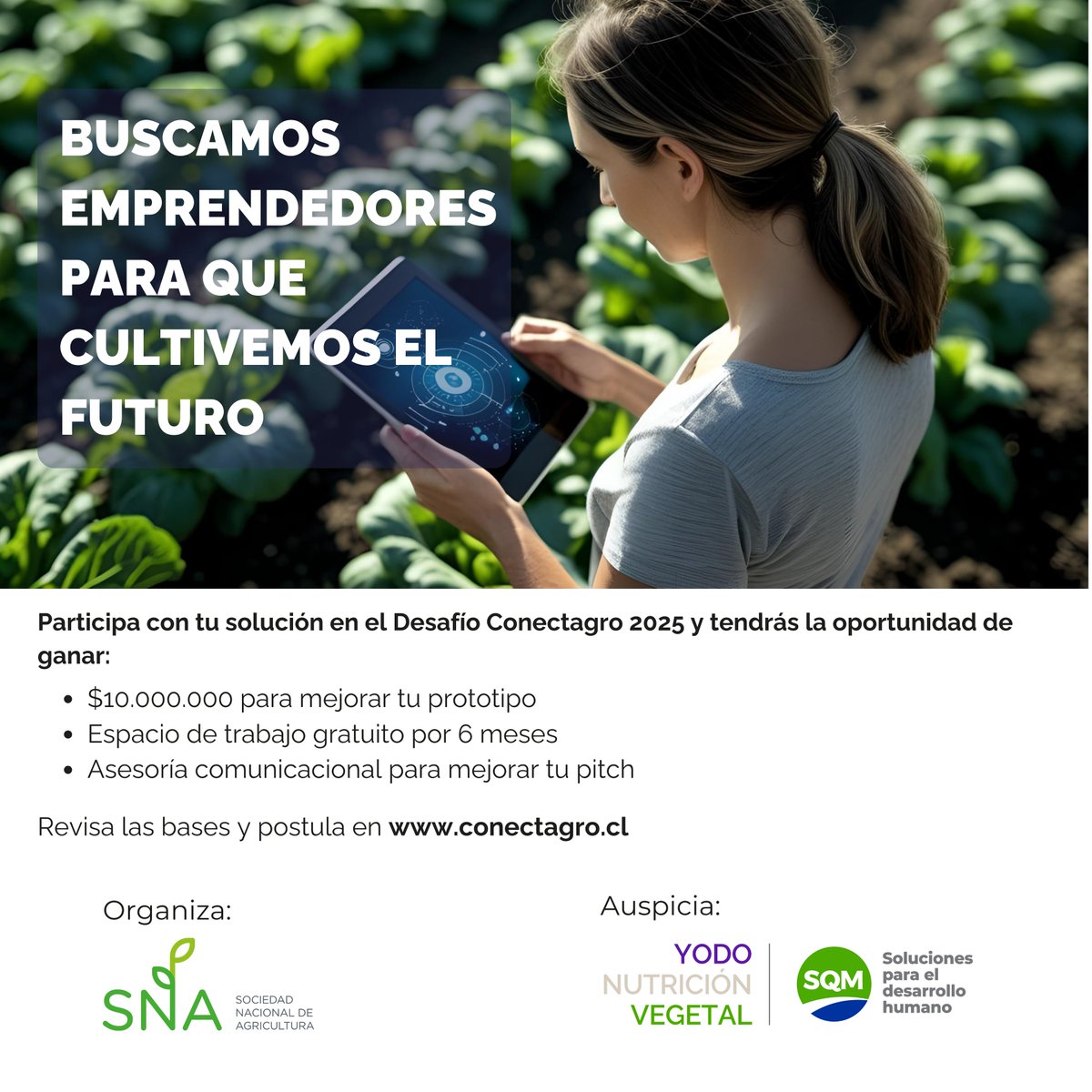 CodesserC's tweet image. #CodesserInforma
Atención emprendedores #Agrotech, ya se abrieron las postulaciones para una nueva versión de #ConectAgro, la iniciativa que lidera la @SNA_Chile con apoyo de SQM que busca potenciar el desarrollo tecnológico en el mundo rural y agrícola.
conectagro.cl