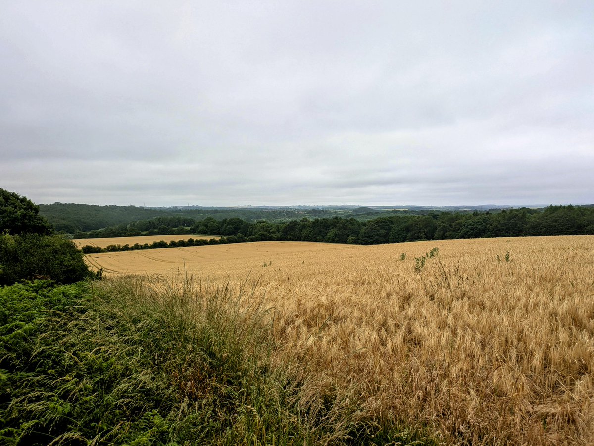 No heatwave in Durham today. Barely reached 17°C and drizzled this evening ☁️🌧️