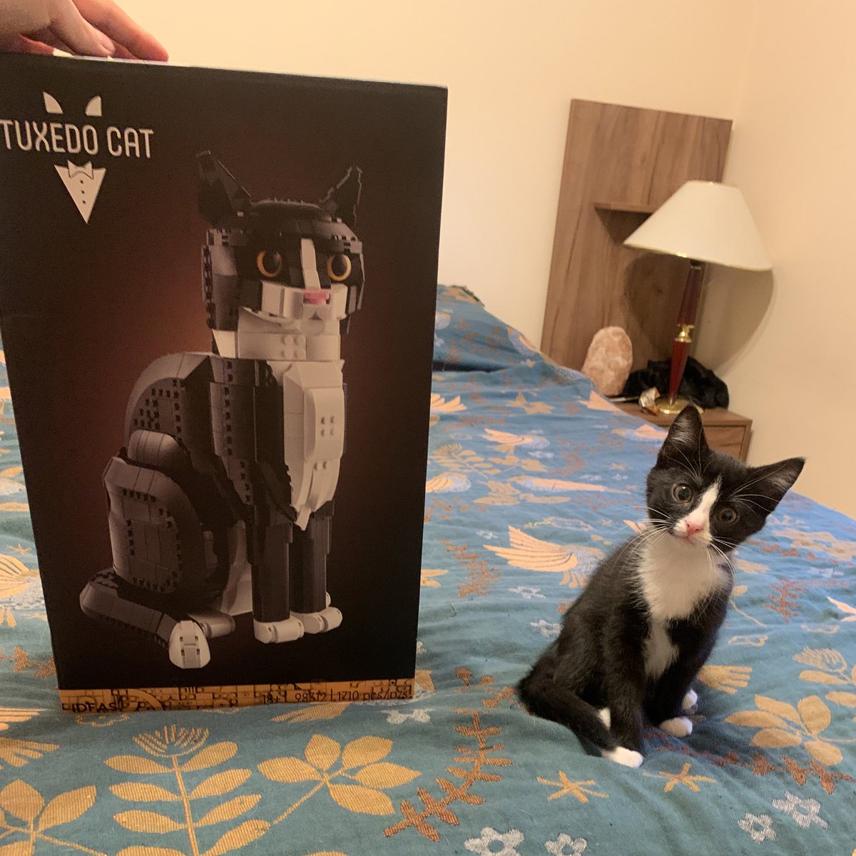 спасибо тётя даша за конструктор яшу