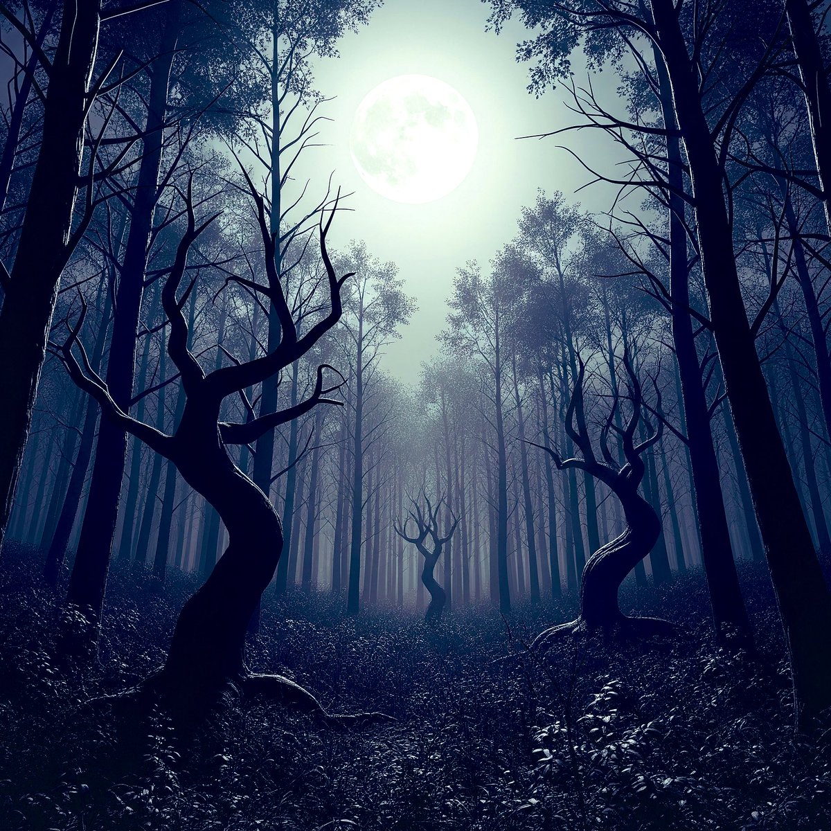 KllSlasher's tweet image. Download my new book “Brain Itch!” A collection of 11 creepy short stories! Visit this link for your copy! —&amp;gt; a.co/d/1f78A55 #book #books #Bookstagram #horror #HorrorCommunity #JISOOxAloSeoul #RevengedLove #Authors #writing