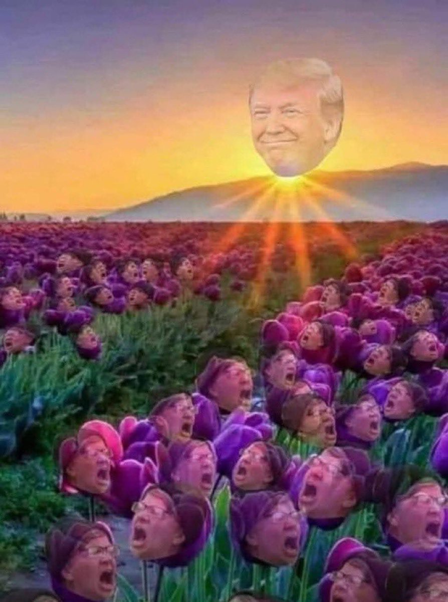 neverthemagain's tweet image. 