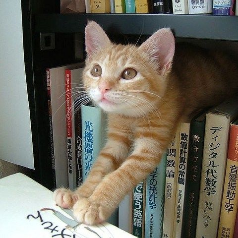 forever captain 💗

#fromis_9 #프로미스나인 
#SAEROM #이새롬