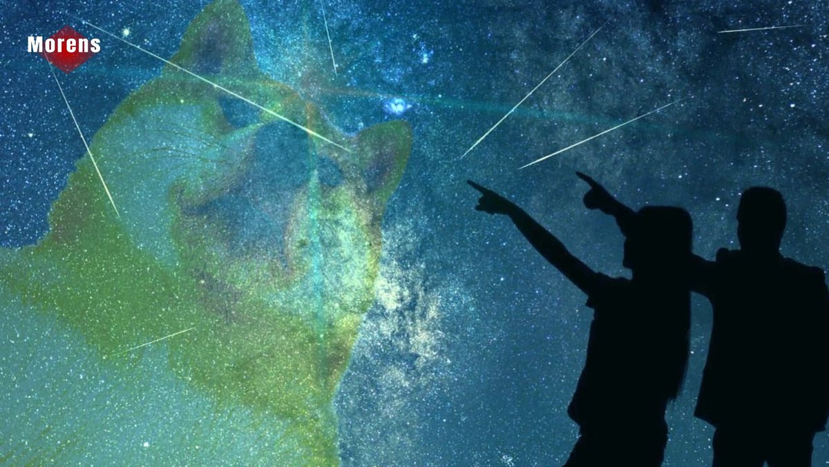 morens_crypto's tweet image. 🌌🌌🌌🙏🙏🙏🤗😍🤗💮💮💮💖💖💖 #DogeFam ✨✨✨