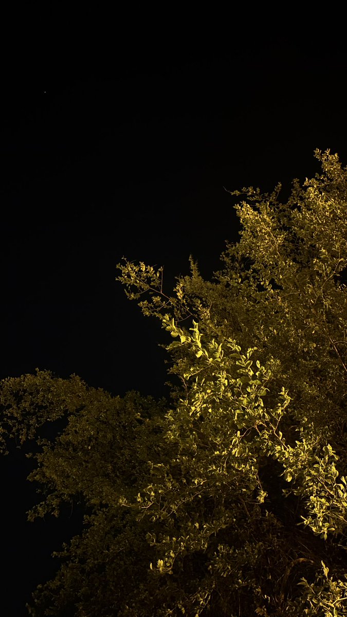 اللهم ارزقني حياةً هادئة، وقلبًا مستكينًا، ورضًا دائمًـا💙.