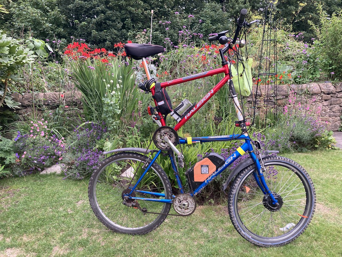 Tall bike - Tall flowers