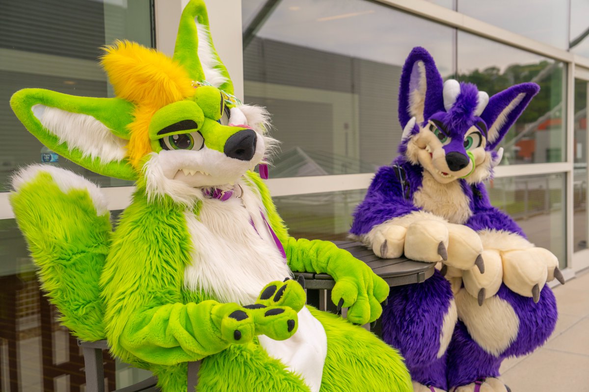 More Fur Less (@morefurless) on Twitter photo Not up to anything, I swear π
πΈ <a href="/KooperShiba/">ππππππ π</a>
<a href="/AscariFennec/">Ascari Fennec @ANTHROCON</a>
<a href="/PurpleBappsky/">Jey</a> Not up to anything, I swear π
πΈ <a href="/KooperShiba/">ππππππ π</a>
<a href="/AscariFennec/">Ascari Fennec @ANTHROCON</a>
<a href="/PurpleBappsky/">Jey</a>