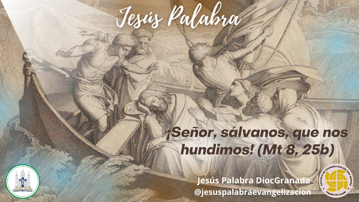 Hoy Jesús Palabra nos da un mensaje de fe. Jesús está en la barca de nuestra vida, Él conoce nuestras tempestades. Si estamos pasando por una situación difícil, es el momento de mirar a Jesús y como los apóstoles pedirle que venga a calmar las aguas que nos quieren hundir.