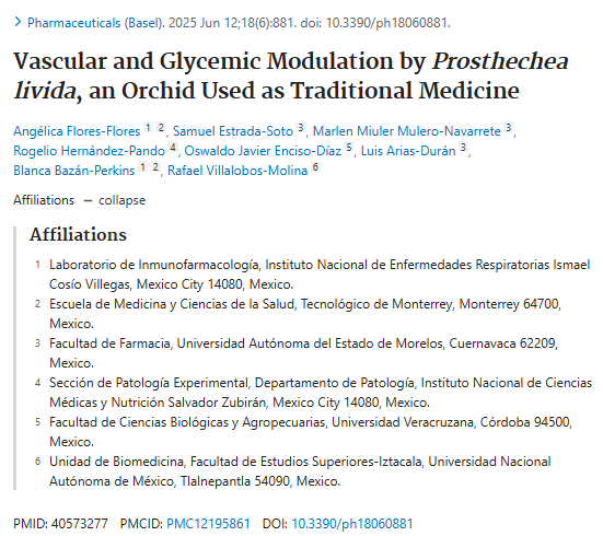 INCMNSZ_DirInv's tweet image. Hallazgos sobre la modulación vascular y glucémica por Prosthechea livida, una orquídea utilizada como medicina tradicional. Participación del @incmnszmx, Rogelio Hernández Pando y cols.