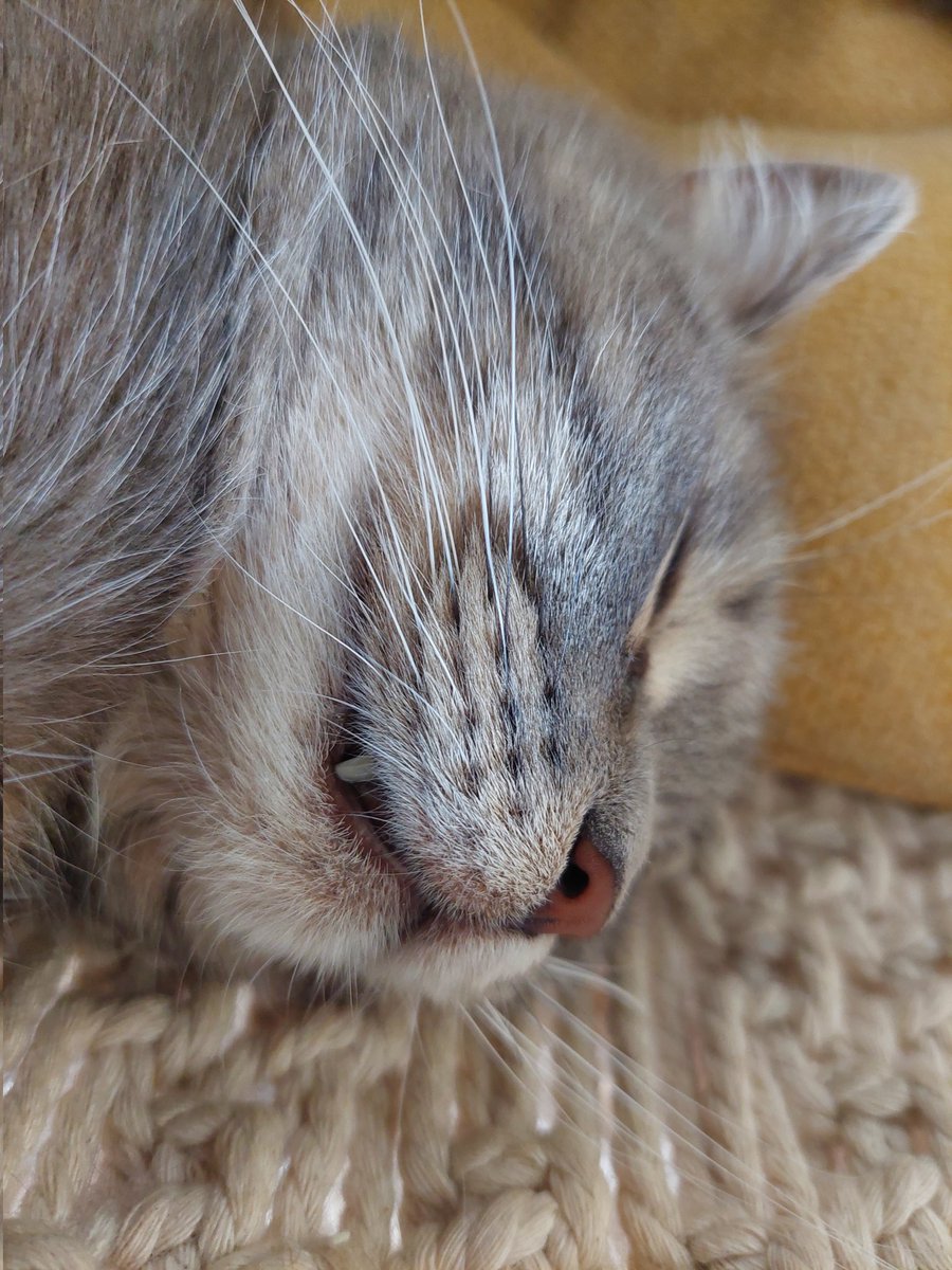 Прийшла побажати вам спокійної ночі та вологих снів 🥰