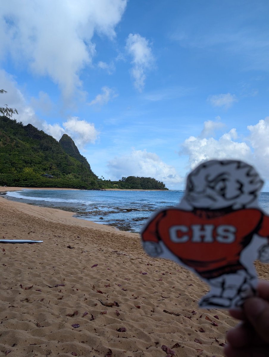 chstoads's tweet photo. Flat Oscar is living his toad-ally best life in Kauai! Soaking up the sun, island vibes, and aloha spirit. 🌴🧡☀️
Happy July!
#flatoscar
#toadpride
#summervibes
#adventure https://t.co/RBfIHNQJFR
