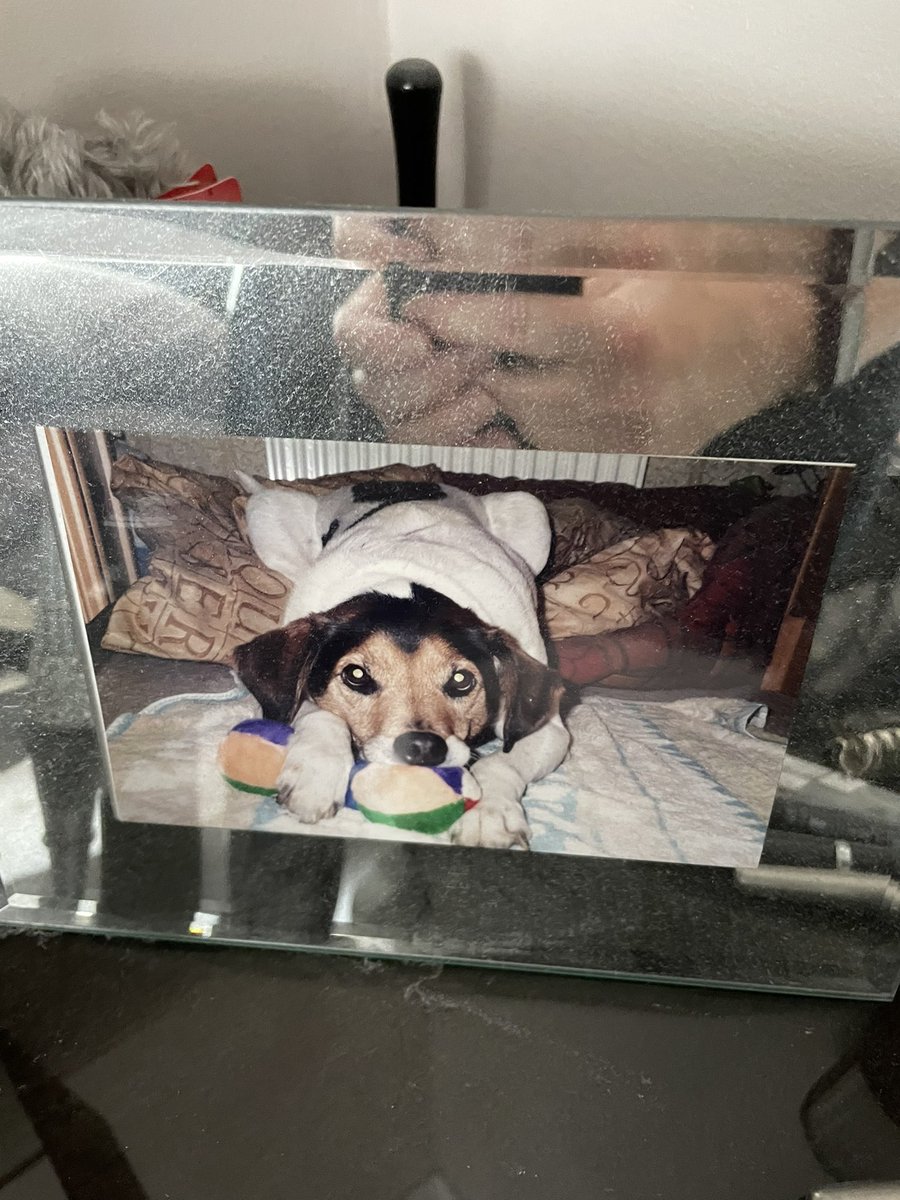 Lorna Coyle tweet media