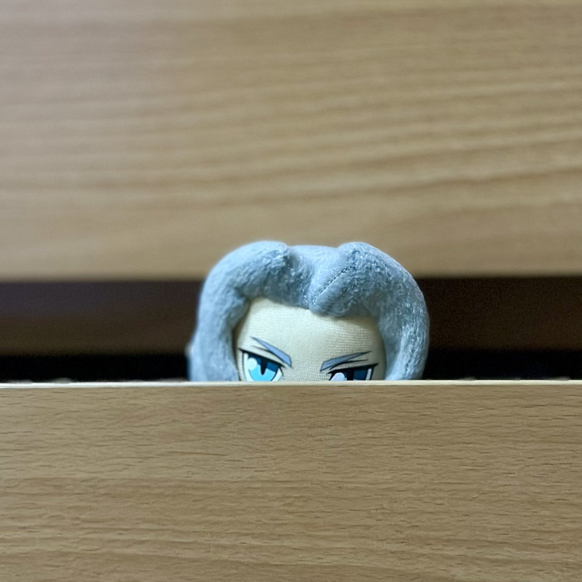 ChibiSepphy's tweet image. Pspspspspspsps. I am not a labubu. Thank you for coming to my TED talk.