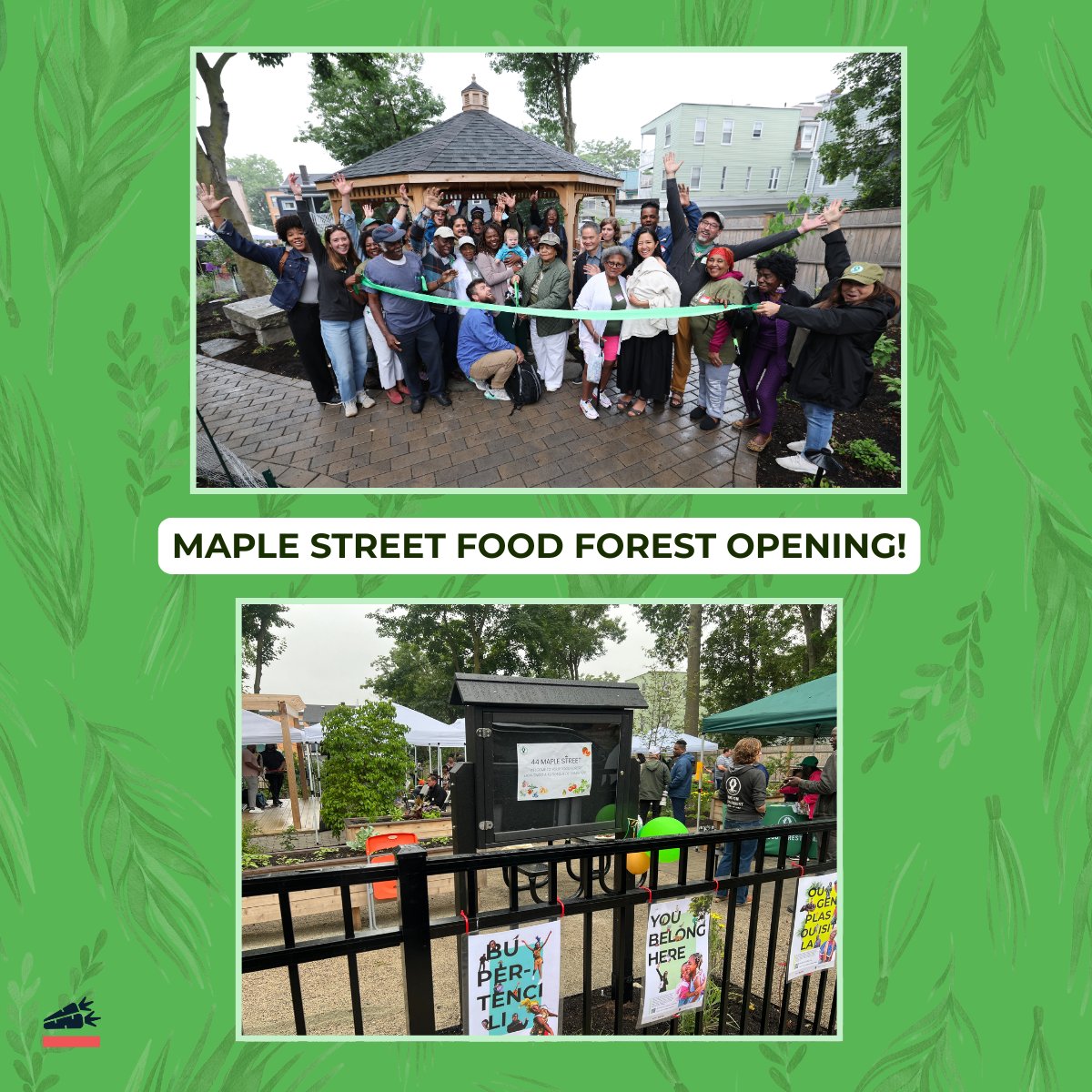 GrowBostonCOB's tweet photo. On June 28, the Boston Food Forest Coalition held a grand opening for the Maple Street Food Forest in Roxbury! GrowBoston staff joined Mayor Michelle Wu, community members, and BFFC to celebrate the opening of this new green space. 📸Photos by John Wilcox and Savannah McLean https://t.co/c3hAKD484P