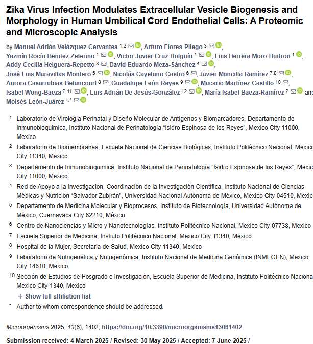 INCMNSZ_DirInv's tweet image. Hallazgos sobre la infección por el virus del Zika que modula la biogénesis y la morfología de las vesículas extracelulares en las células endoteliales del cordón umbilical humano. Participación del @incmnszmx, David Eduardo Meza Sánchez y cols.