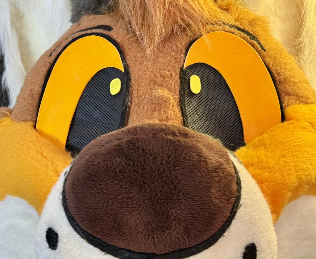 Who am I seeing at Anthrocon?? 🦊