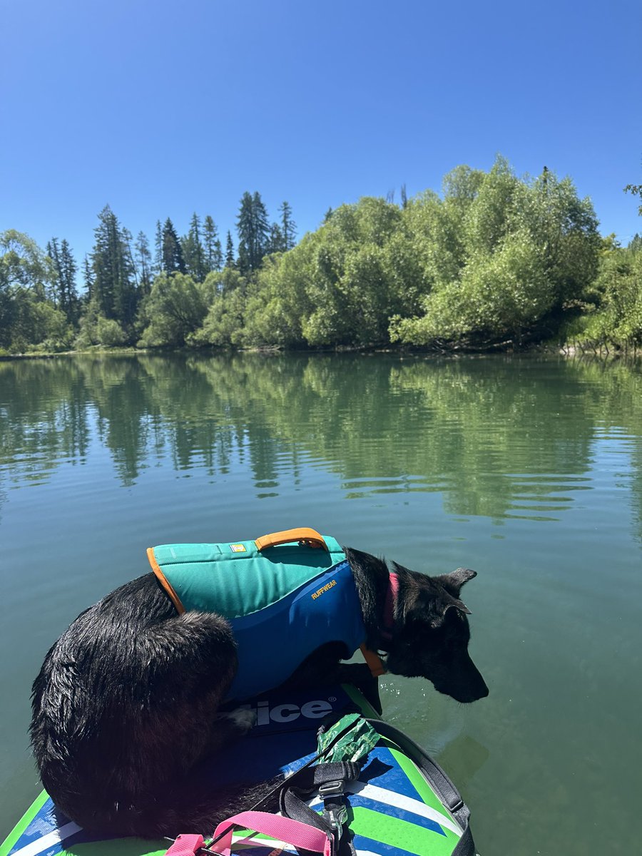 I Cannes not believe how much better my weekend was than yours anon
(3 pics from 3 different days)