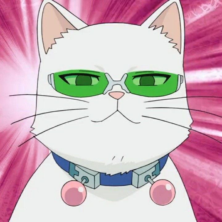 (,, /ᐠ >ﻌ<,マ  เม้วววววววววววว ~~~~~~~~~~~~