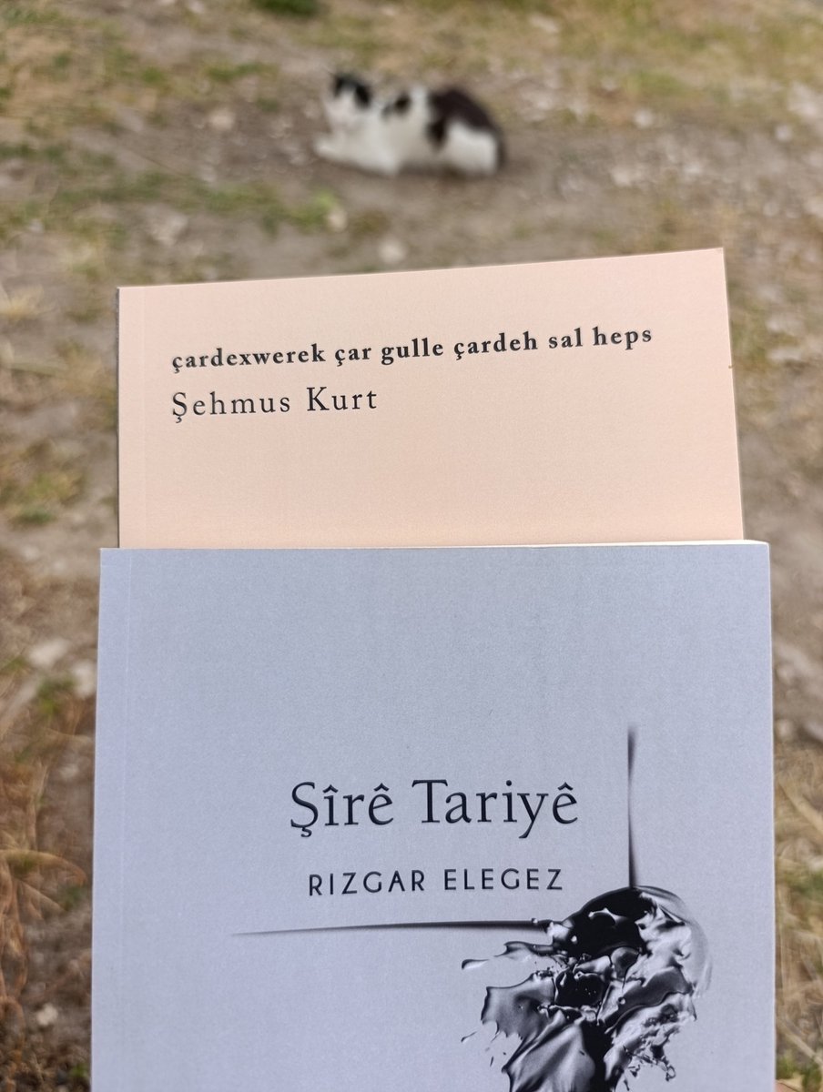 "şerabek bûm neketime her qedehê
nefesek bûm neketime her neyê 
ruhek im nakevime her bedenê."
 -R. Elegez 
"şîrê çiya me li deşta we nameyim
şêrê çiya me li deşta we nahewim 
birîna çiya me li deşta we nakewim."
 -Ş. Kurt
