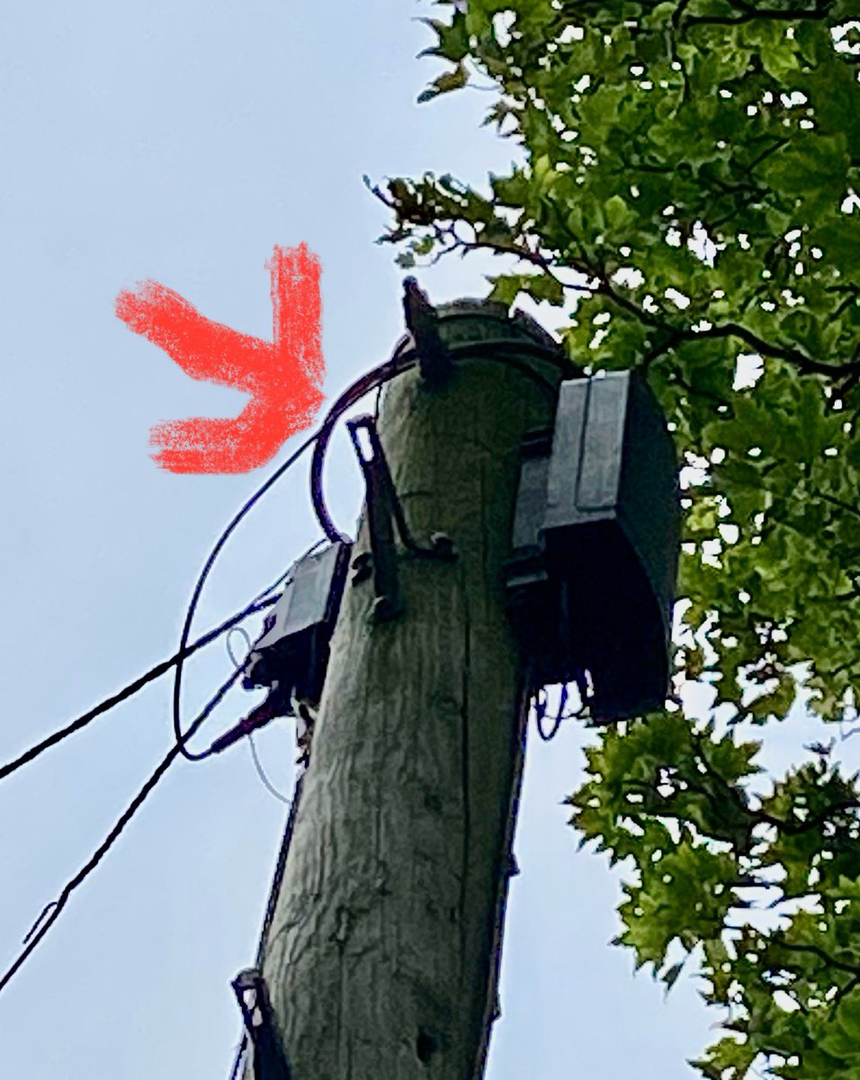 1901gennelm's tweet image. When you realise Farming income has fallen behind a bit.
Openreach engineer just told me he has just found out that sub contractors have been charging Β£500 per pole to fit these metal rings on poles that havenβt got them for fibre.
Worse still is Openreach supplied the rings.