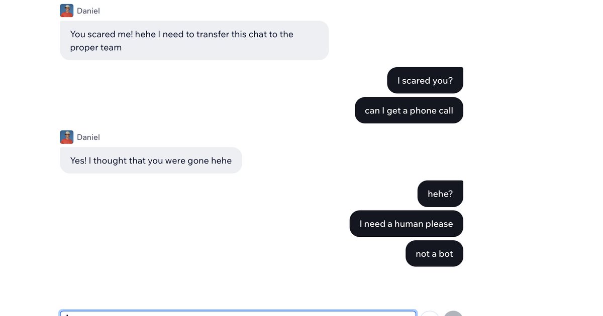 dreamt of (lauren pardini) tweet media