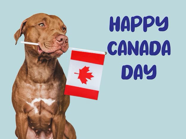 Spike 🔜 GearBlast, MIR, MFF, COG tweet media