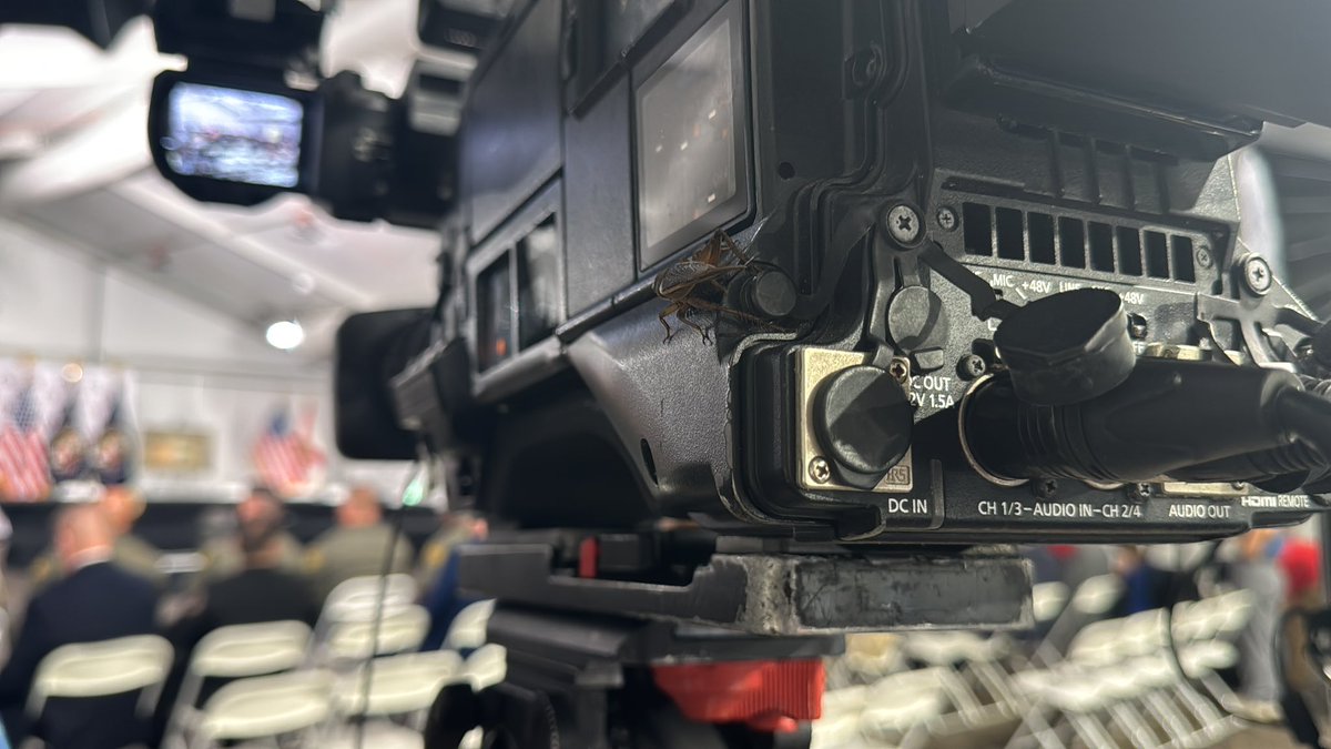 Cricket loving the camera. <a href="/ActionNewsJax/">ActionNewsJax</a>