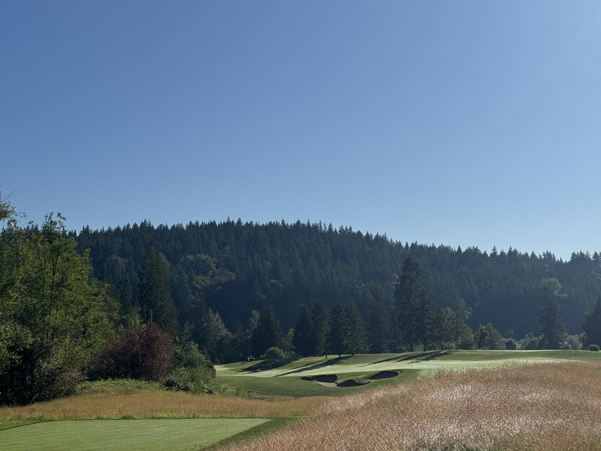 Amber waves of grain.  <a href="/aldarragc/">Aldarra Golf Club</a>