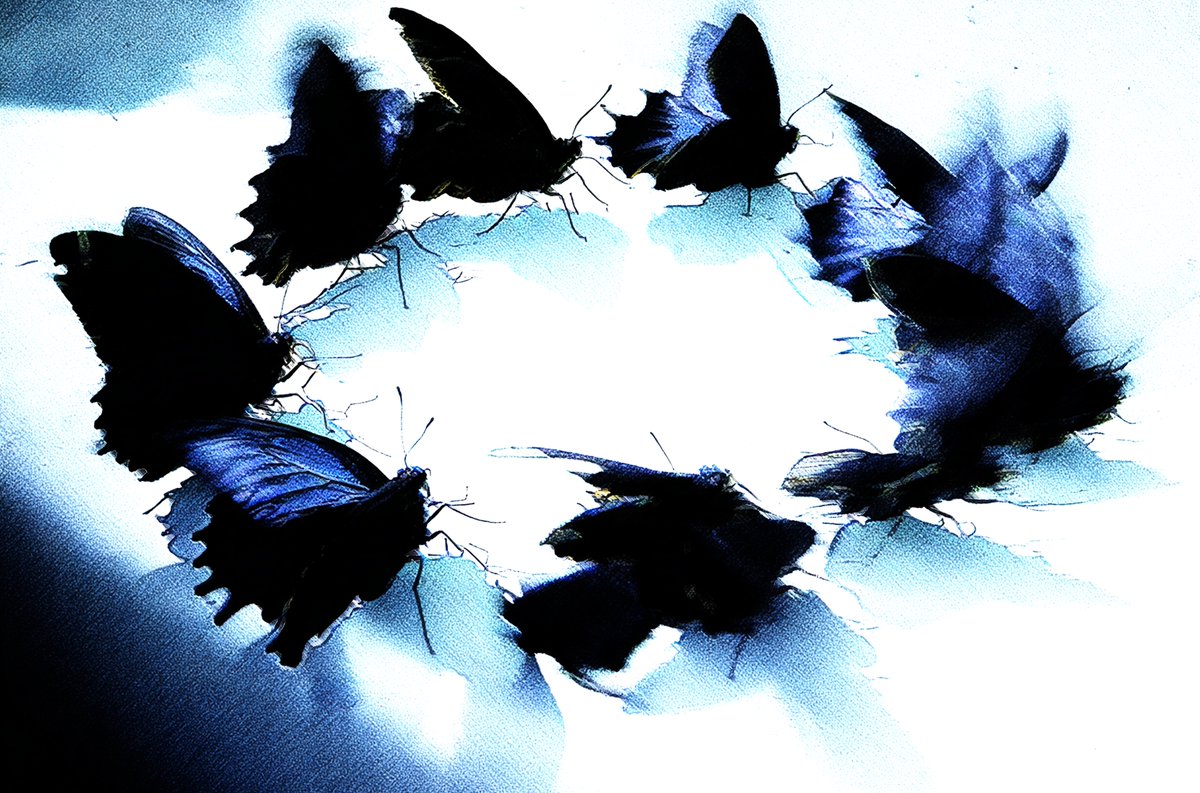 Leonardo tweet media