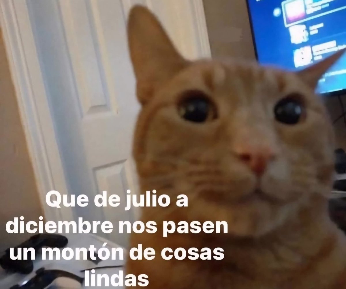 <a href="/ExPepe100369/">ex pepe100369</a> <a href="/GladysM81846574/">Gladys Montilla</a> <a href="/atoyac123/">Wera 💕 🇺🇸💕🇲🇽 Canelo Team</a> <a href="/davidant264/">davidant</a> <a href="/Leylani66187179/">♧☆♤ C̷O̷C̷O̷ ♤☆♤</a> <a href="/Paula48079240/">Paula</a> <a href="/julioca02951822/">julio carranza</a> <a href="/Haraal3/">hara🖤✨️🪷☘️👑</a> <a href="/macalulo/">Luis Lopez</a> <a href="/GutZaga/">Lucifer alex 🖤</a> 😂😝👋 buen día Roof! Buenos días banda! Como les amaneció?!
Ese #Karencio naranjoso <a href="/ExPepe100369/">ex pepe100369</a> por eso lo quieren tanto