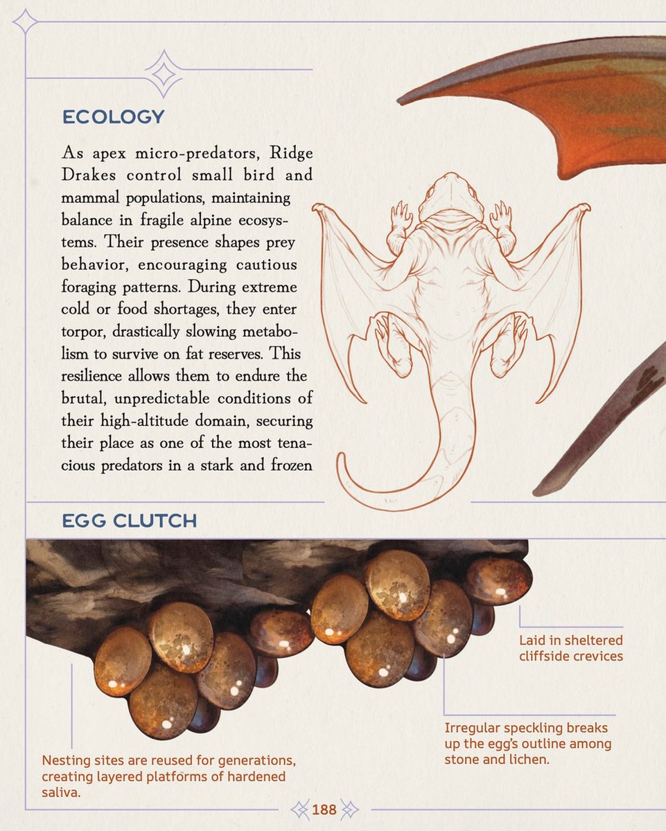TopherStoll's tweet image. He’s just a lil’ guy 🦇 oh, and it’s his birthday 🎁 ?
Preview entry from my newest book Dragonatomy!