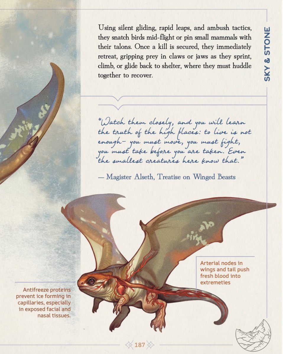 TopherStoll's tweet image. He’s just a lil’ guy 🦇 oh, and it’s his birthday 🎁 ?
Preview entry from my newest book Dragonatomy!
