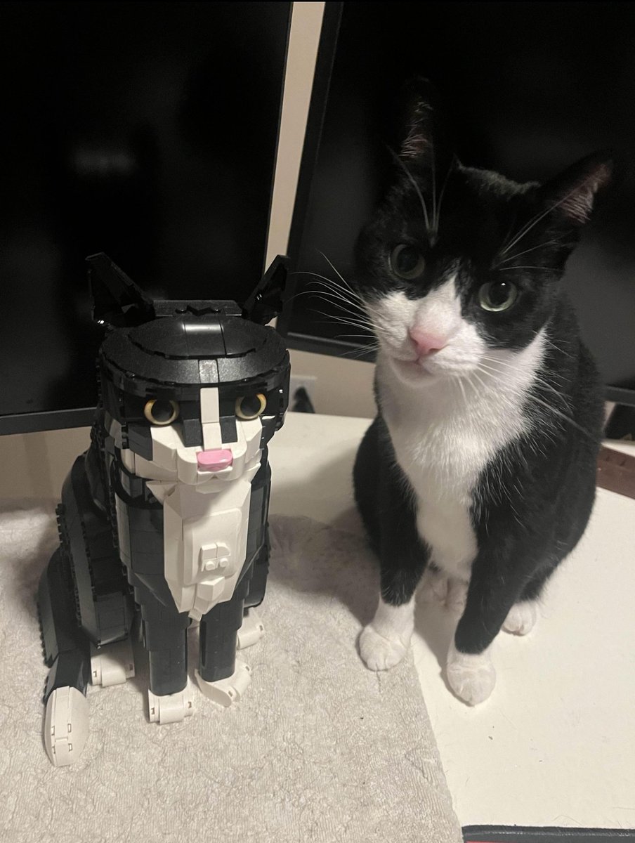 p00s and メッカぷーす