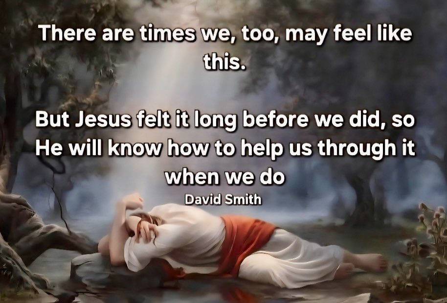 Jake’sGoldStarMom (@heidijeanlk) on Twitter photo 