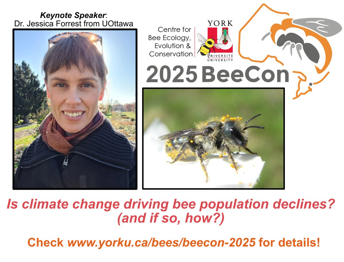 BEEc Coordinator tweet media