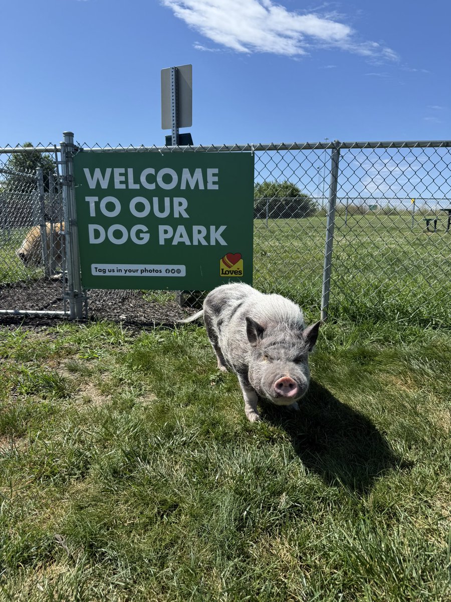 erica scheier (@ericascheier) on Twitter photo Hameron “LOVES” your travel stop but thinks it should say Dog/Pig Park! <a href="/LovesTravelStop/">Love's Travel Stops</a> Hameron “LOVES” your travel stop but thinks it should say Dog/Pig Park! <a href="/LovesTravelStop/">Love's Travel Stops</a>