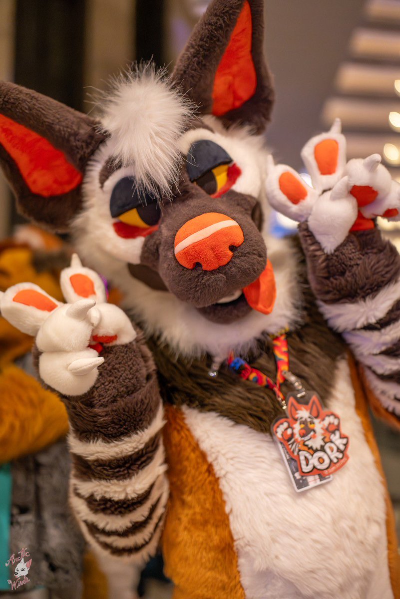 DorkStripes's tweet image. ๐จYEEN ALERT YEEN ๐จ
This yeen will be spotted at AC in a couple of days please proceed by offering cool party invites and giving him a million dollars cash. Itโs for your safety
๐ธ: @ArcticWindPhoto