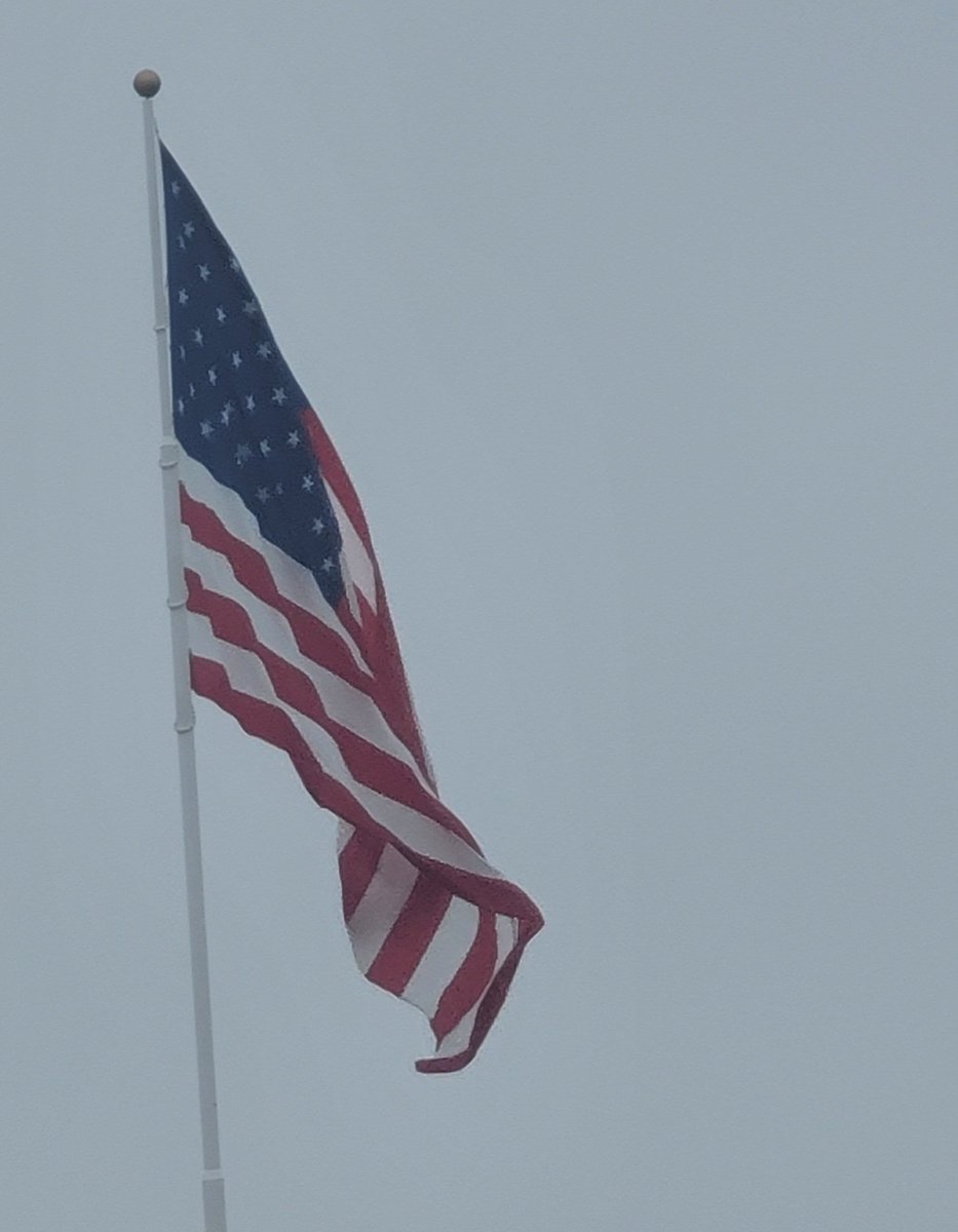 Hello America 🇺🇸

I'm inside you!