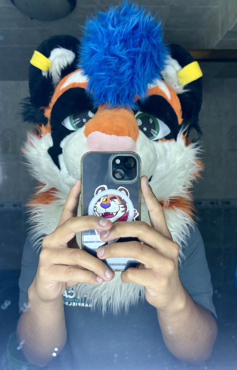 Meow, viste a un lindo gatito? 🐯🐅
#fursuit #furry