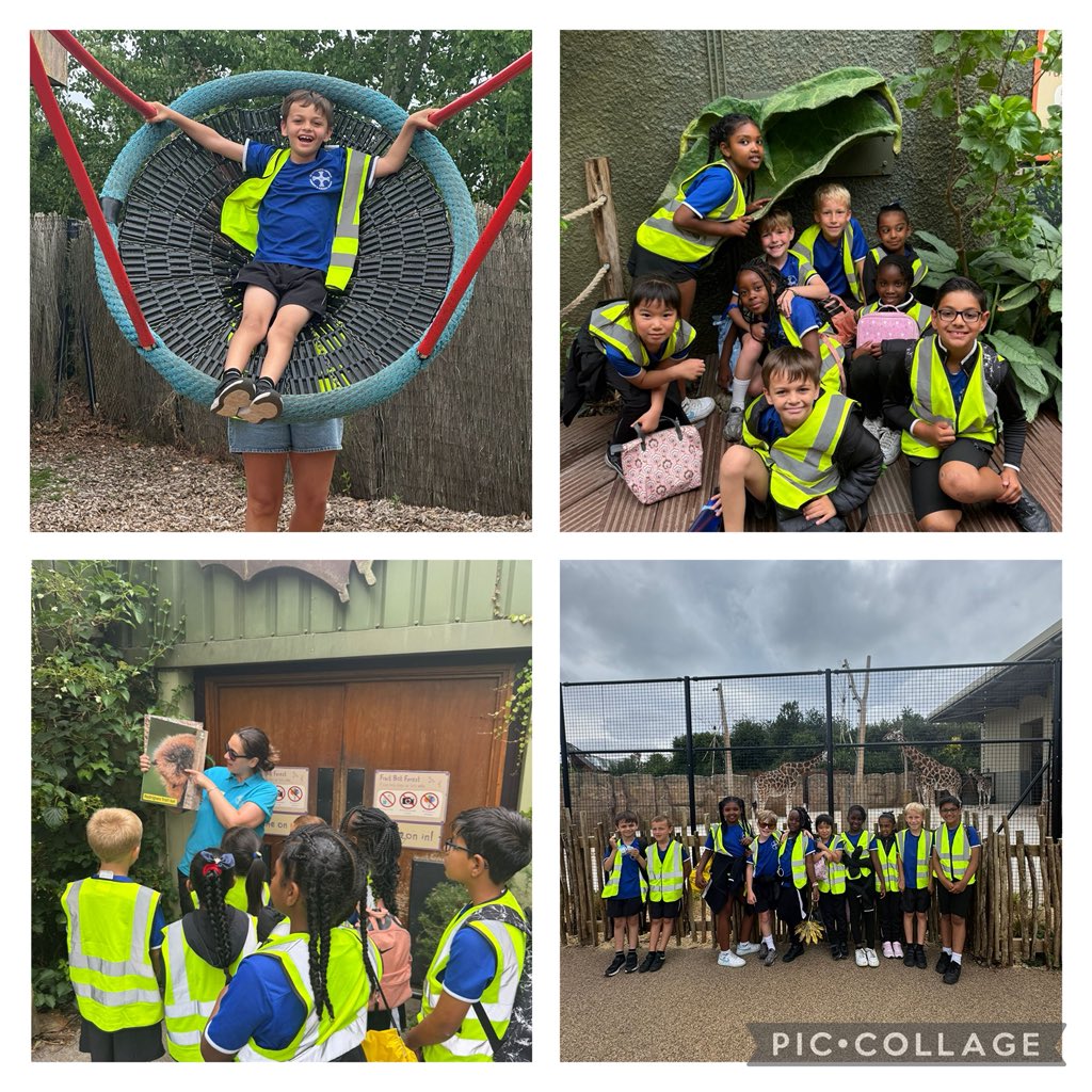 St Cuthberts Primary tweet media