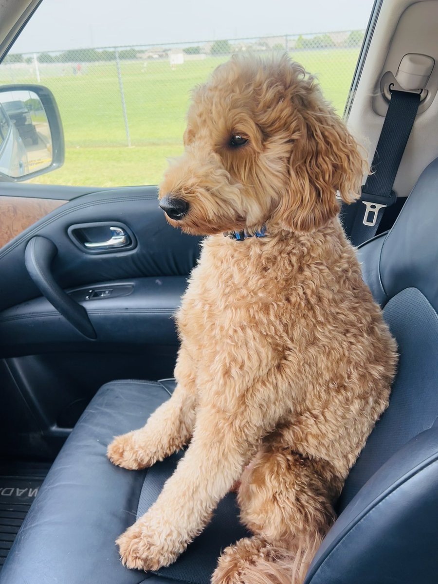 Mrs. Nelson tweet media