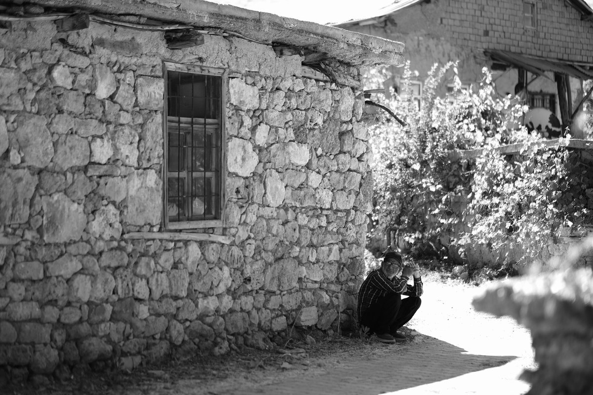 📸 | M. Sarıbaş, (Karahüyük, 2025, Temmuz)