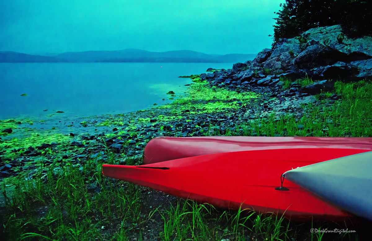 #Cyanobacteria (blue-green algae) is a photosynthetic bacteria that's flourishing due to anthropogenic activities. Most noticeable on hotter days in summer along shorelines emitting a neon-like glow. Some strains are known to be #toxic. #ShareYourWeather #ThePhotoHour #StormHour