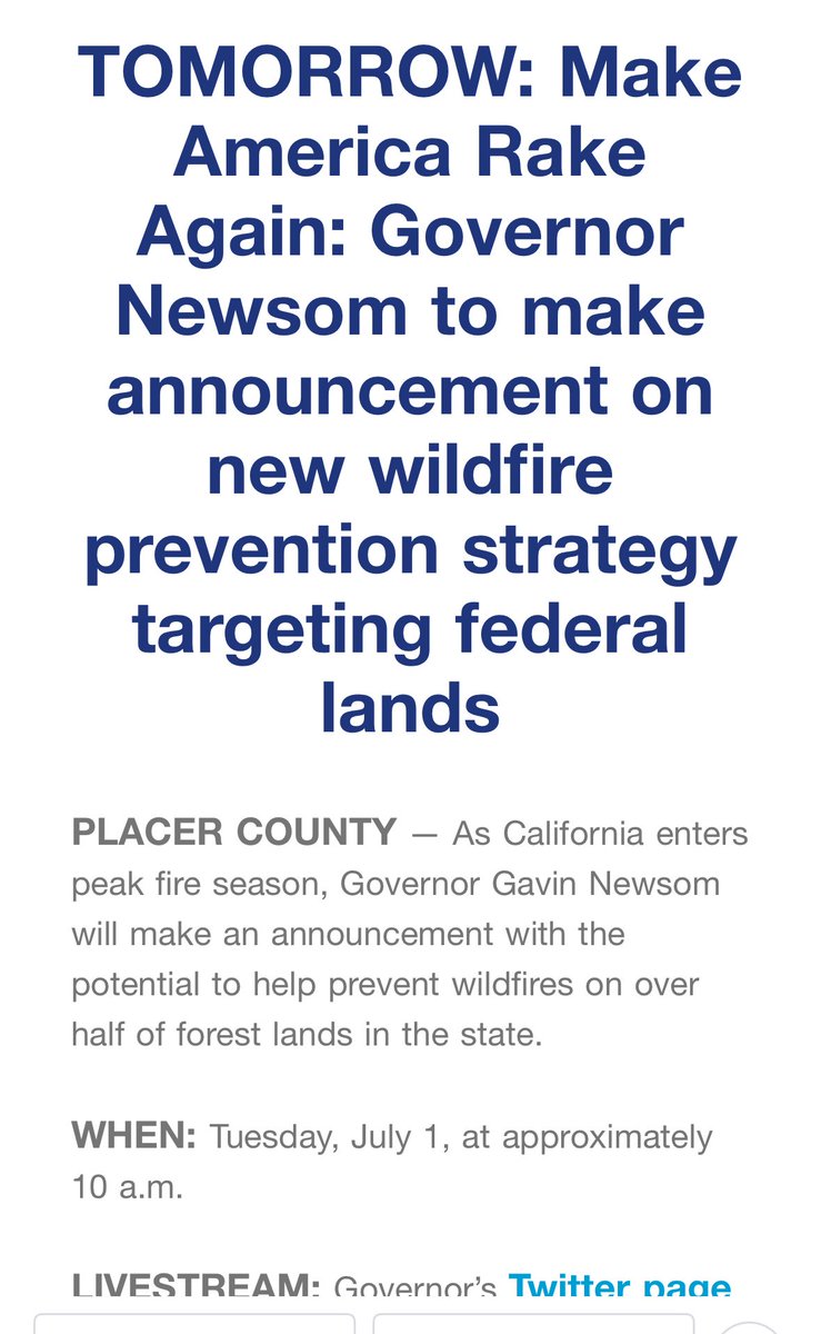 Very clever: Make America Rake Again