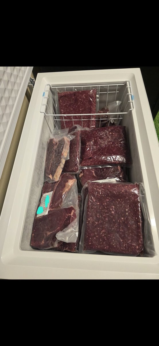 Mr_Hmmm "H" 🧪 tweet media