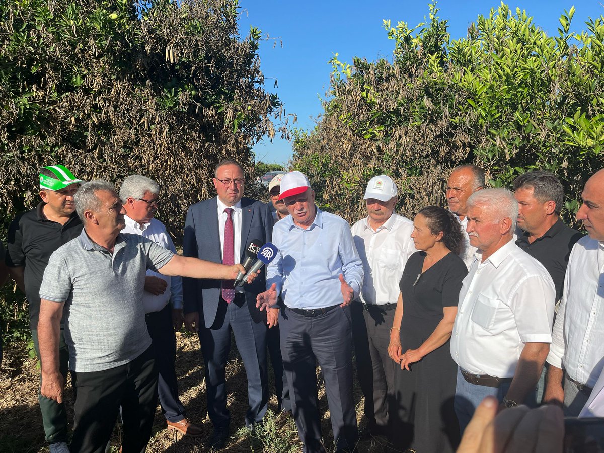 Tarsus’ta dondan ağır şekilde etkilenen narenciye bahçelerinde incelemelerde bulunduk. Zarar büyük. Üreticilerimizin mağduriyetini yerinde gördük, taleplerini dinledik. Çiftçimizin yanında olmaya, sesini duyurmaya devam edeceğiz.