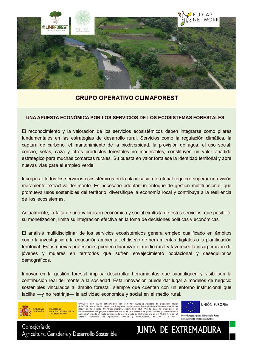 GOClimaforest's tweet image. Los servicios de los ecosistemas forestales son una oportunidad para el crecimiento económico del sector forestal y la generación de empleo en el medio rural. Explora con nosotros nuestro nuevo Fact Sheet para conocer mejor los beneficios económicos de nuestros bosques.👉👉